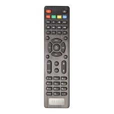 Tesla TE-300 v2023 original remote control
